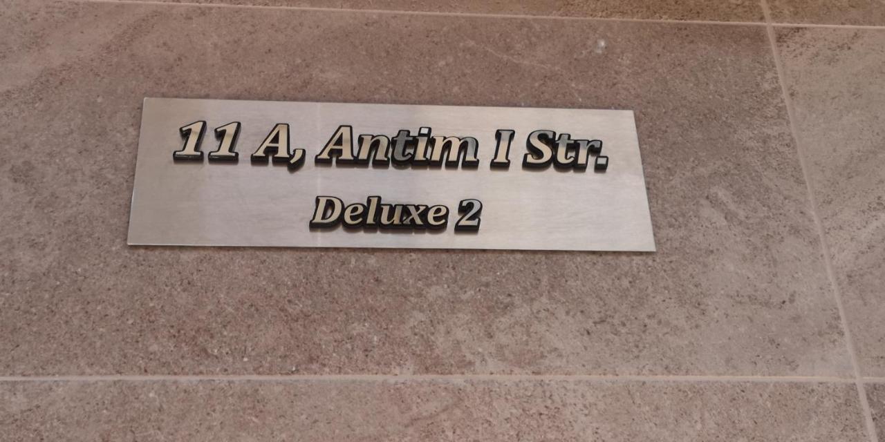 Deluxe 2 Center Apartment